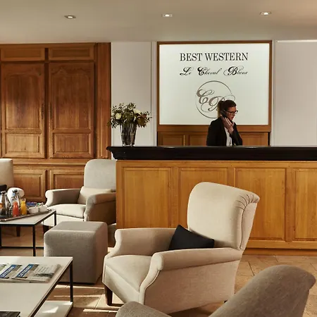 Western Le Cheval Blanc -vue Sur Le Port-plein Centre מלון 3*
