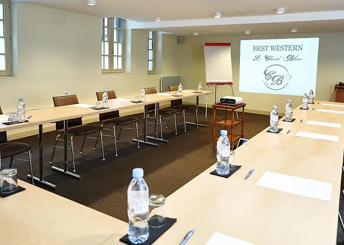 ホテル Western Le Cheval Blanc -vue Sur Le Port-plein Centre 3*